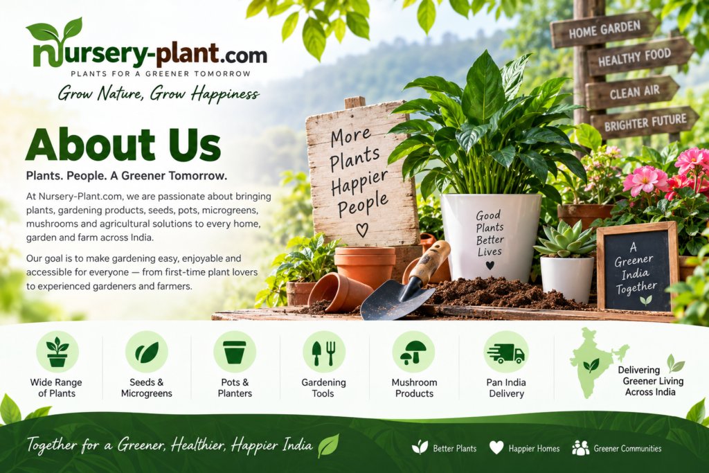 nursery plant about us