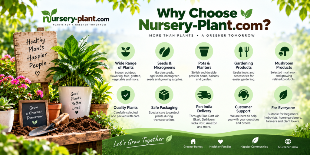 Why Choose Nursery Plant page image